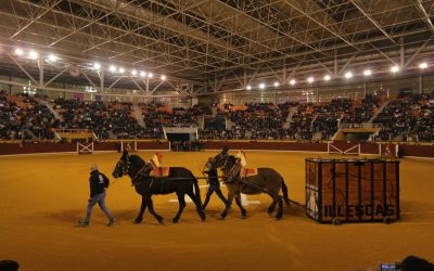 Toro del Milagro Illescas 2024