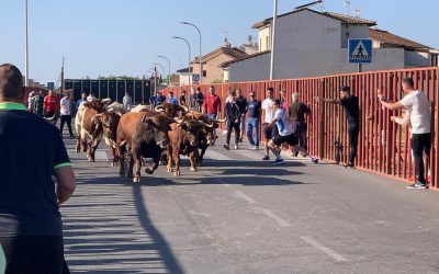 Encierro I Congreso Toro Cajón Illescas 2024 (Fotos y video )